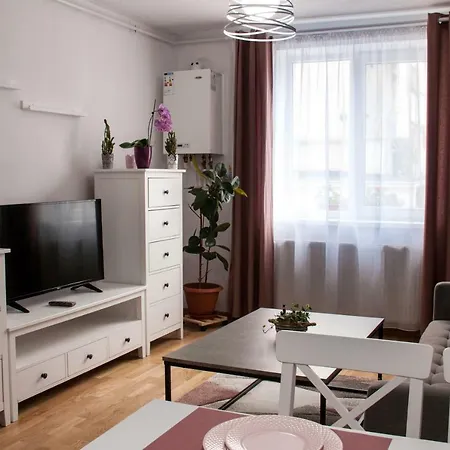 Ana Cristina Apartment Sighisoara